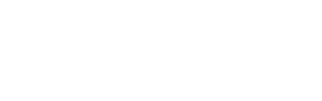 Seedance 2.5